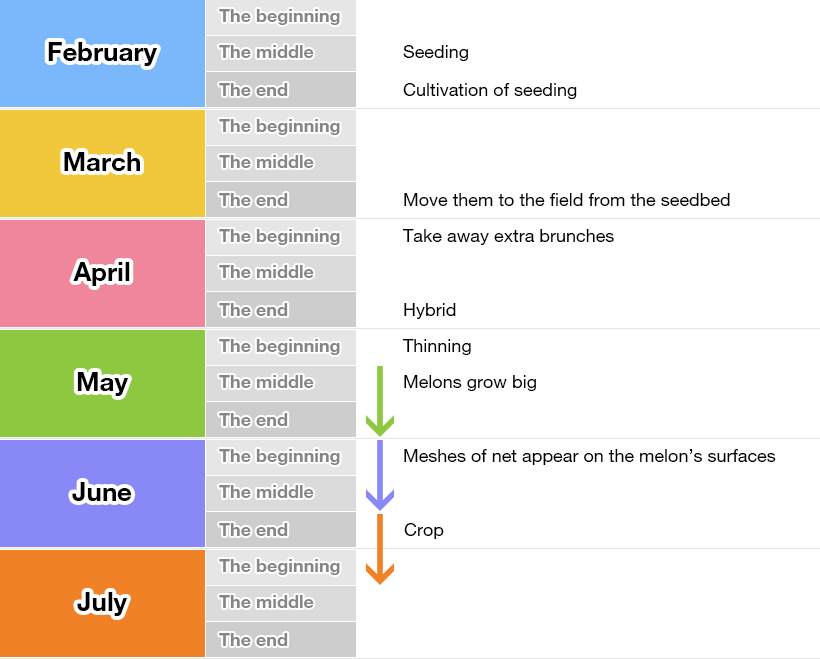 Schedule of cultivation image