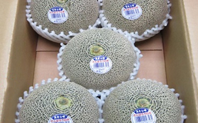 5 melons in one box image