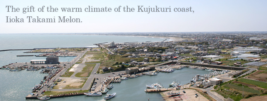 The gift of the warm climate of the Kujukuri coast, Iioka Takami Melon