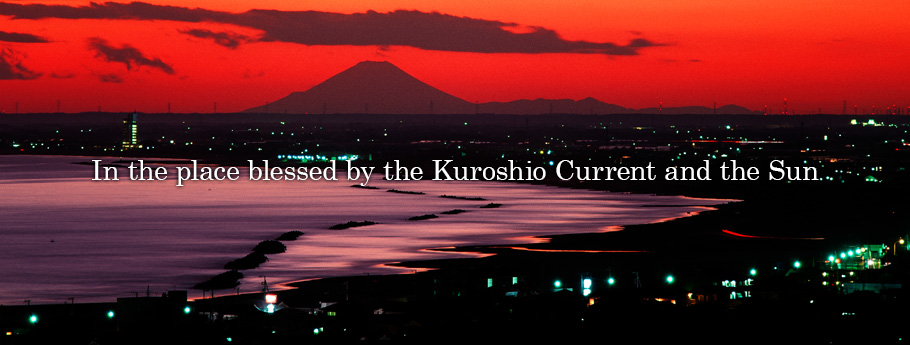 In the place blessed by the Kuroshio Current and the Sun