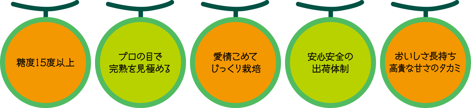 糖度15度以上・プロの目で完熟を見極める・愛情こめてじっくり栽培・安心安全の出荷体制・おいしさ長持ち高貴な甘さのタカミ